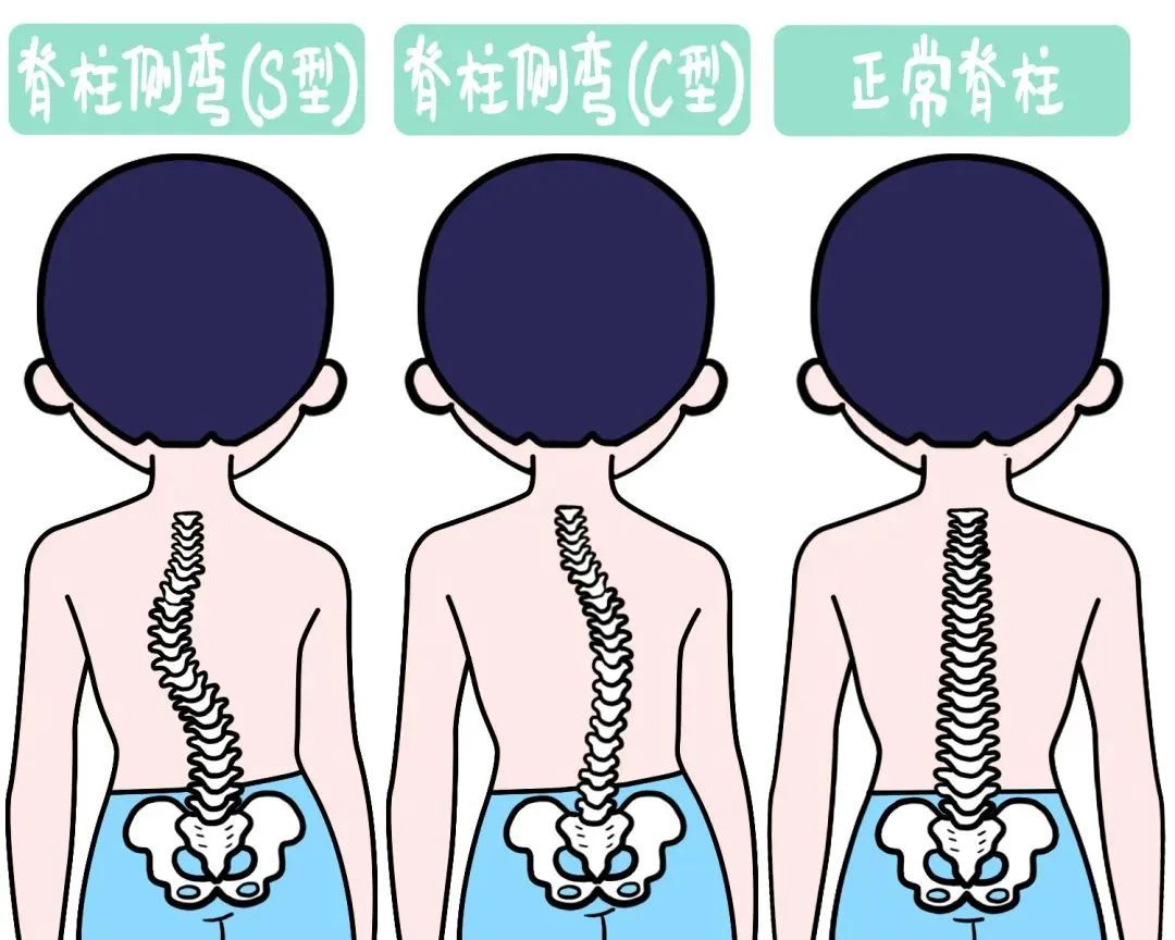 第326页