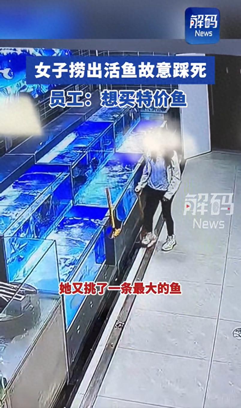 第297页